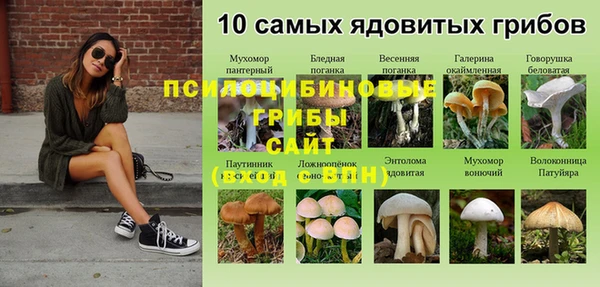 альфа пвп Касимов