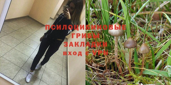 mdpv Новозыбков