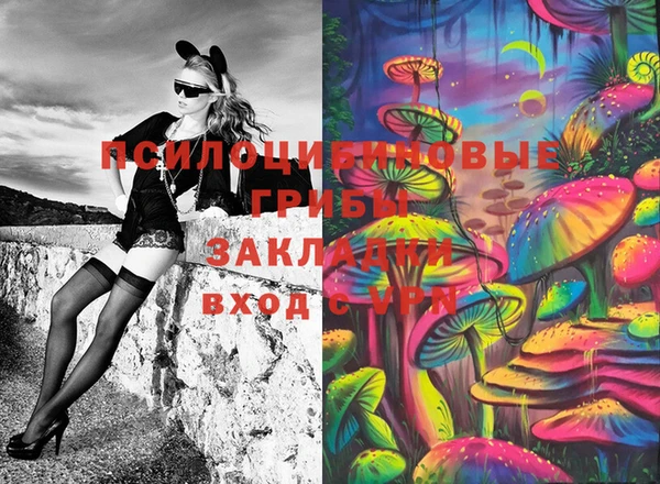 спайс Каменногорск