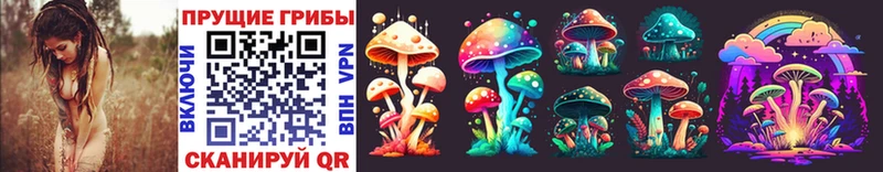 купить  сайты  kraken зеркало  Псилоцибиновые грибы Cubensis  Лабытнанги 