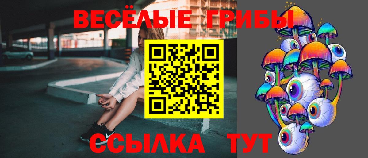 Лабытнанги  Галлюциногенные грибы Psilocybe  Галлюциногенные грибы Psilocybe  Вход с VPN 